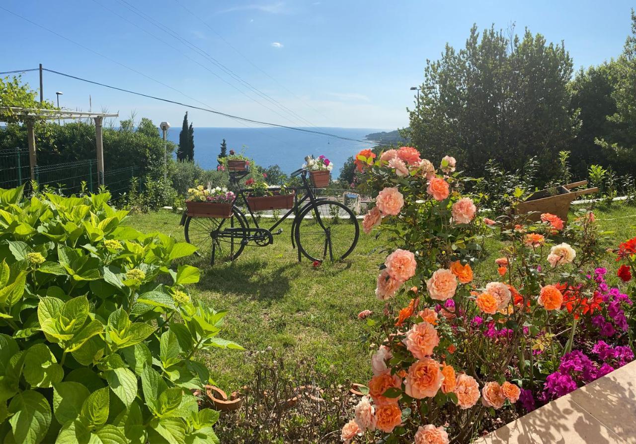 Villa Pergola -Apartment Roko Mlini Eksteriør bilde